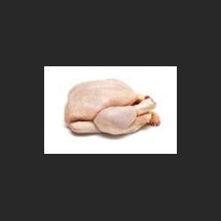 Poulet Blanc Entier au Kg